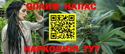 дживик Дубна